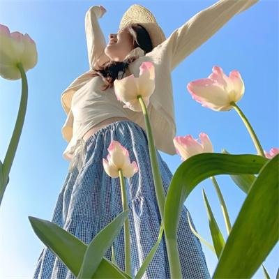 冲绳小芙蓉